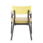 Toleda Armchair Back