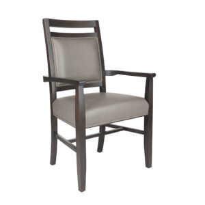 Alta Arm Chair with Accent Seat