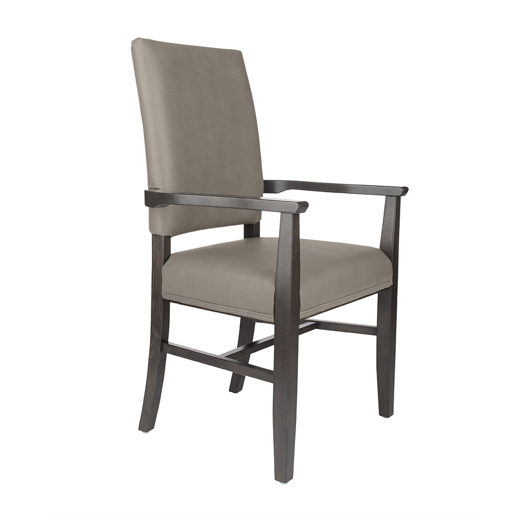 Alta Accent Arm Chair